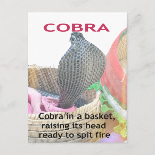 Kobra i Basket Art Print Vykort