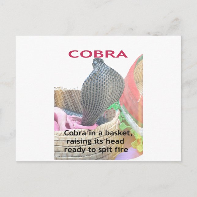 Kobra i Basket Art Print Vykort (Framsida)