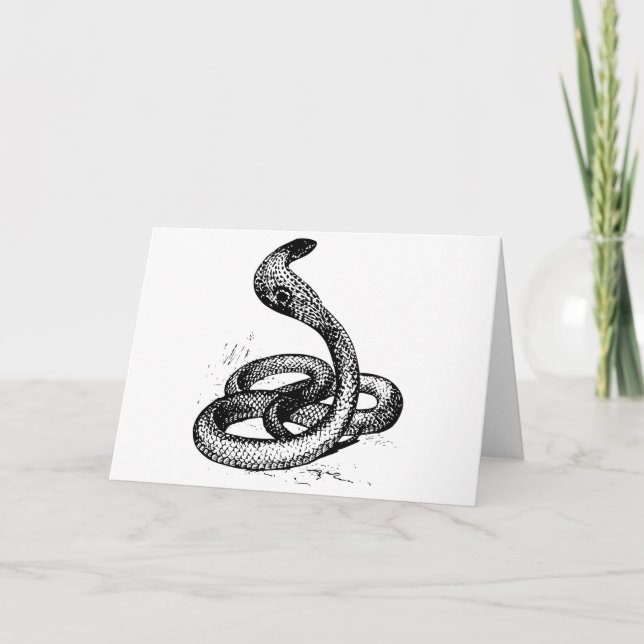 Kobra Kort (Framsida)