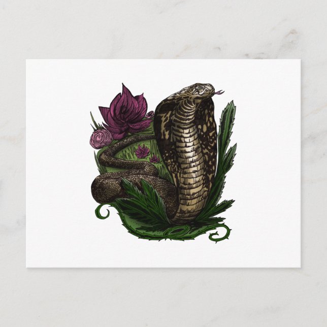 Kobra Vykort (Framsida)