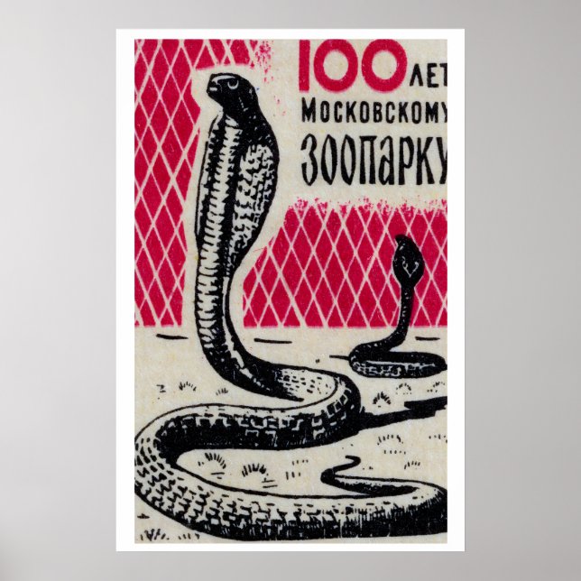 Kobraslangar - Matchboxtryck - Tjeckisk väggkonst (Framsidan)