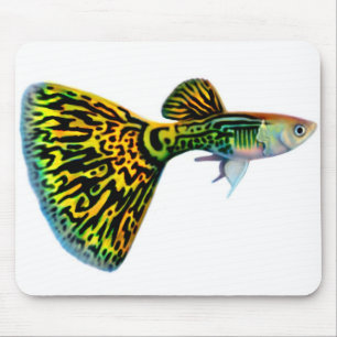 KobraSnakeskin Male Guppy Mousepad Musmatta