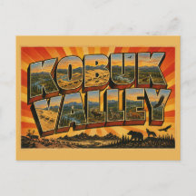 Kobuk Valley Alaska Arktiska sanddyner Flod Konst