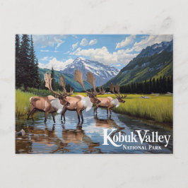Kobuk Valley Caribou Herd Alaska Art Vykort