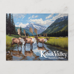Kobuk Valley Caribou Hjord Alaska Konst Vykort