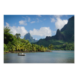 Kock fjärd, Moorea fototryck