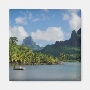 Kock fjärd, Moorea magnet