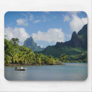 Kock fjärd, Moorea mousepad Musmatta