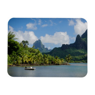 Kock fjärd, Moorea rektangulär magnet