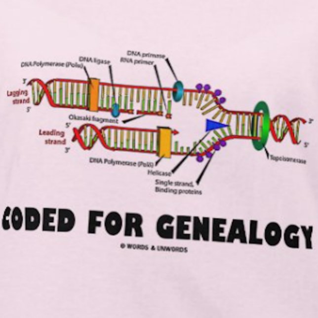 Kodad för genetik (DNA-replikering) Tee Shirt (If you're into genealogy - i.e., as your family's family historian - you'll enjoy this DNA humor tee)
