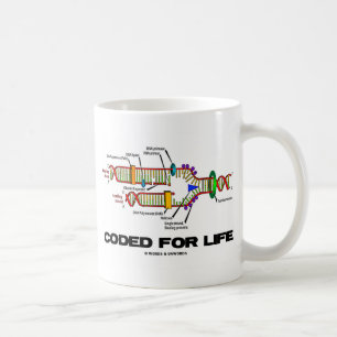 Kodad för livstid (DNA-replikering) Kaffemugg