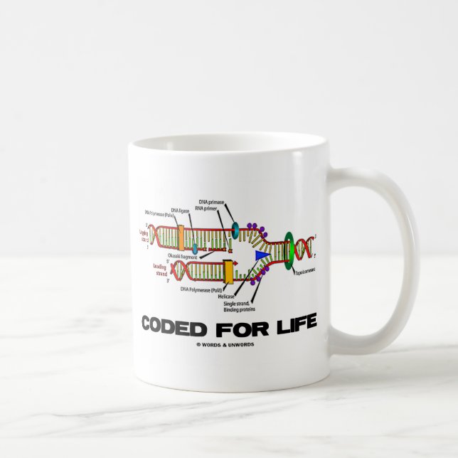 Kodad för livstid (DNA-replikering) Kaffemugg (Höger)