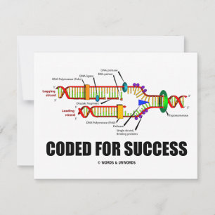 Kodad för lyckade resultat (DNA-replikering)