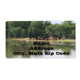 KodAdressetiketter Fraktsedel