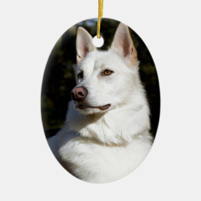 Kodah White Shepherd Wolfdog Julgransprydnad Keramik (Framsidan)