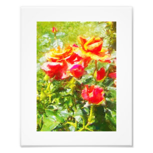 KODAK Print Orange Ro Fototryck