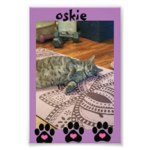 Kodak Professionell Photo Papper (Satin)