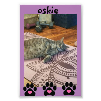 Kodak Professionell Photo Papper (Satin) Fototryck