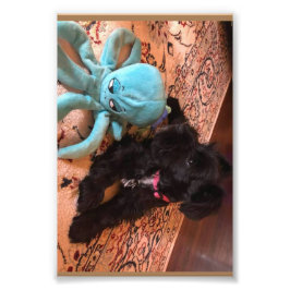 Kodak Professionell Photo Papper (Satin) Fototryck