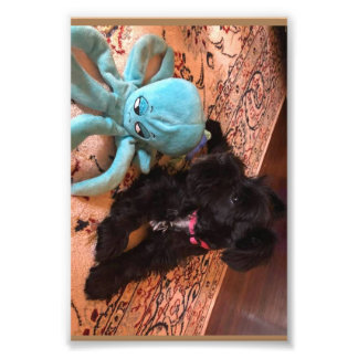 Kodak Professionell Photo Papper (Satin) Fototryck