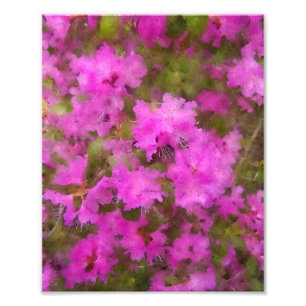 KODAK Skriv ut Lila Rhododendron Fototryck