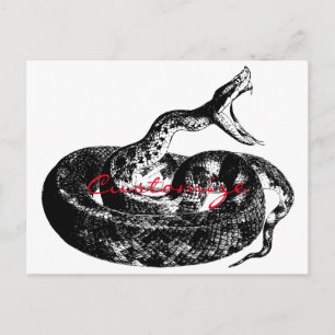 Kodat Rattlesnake Thunder_Cove Vykort