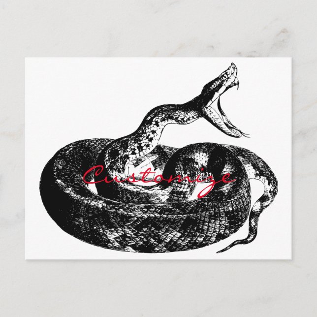 Kodat Rattlesnake Thunder_Cove Vykort (Framsida)