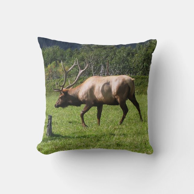 Kodiak, Alaska Elk Utomhusfoto Designade Finare Kudde (Framsida)