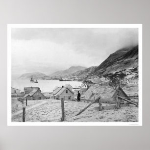 Kodiak Alaska panorama 1909 Poster