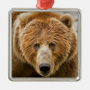 Kodiak Bear Ansikte - Vild Alaska Julgransprydnad Metall