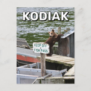 Kodiak Bear Breaks i Regler Vykort