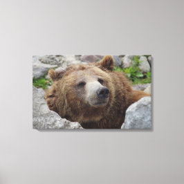 Kodiak Bear Canvastryck