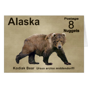 Kodiak Bear Hälsningskort
