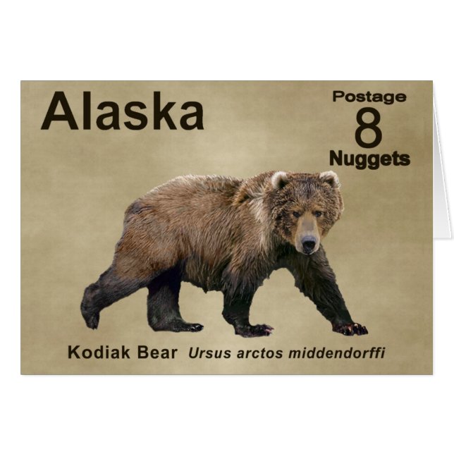 Kodiak Bear Hälsningskort (Framsidan Horizontal)