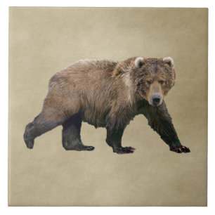 Kodiak Bear Kakelplatta