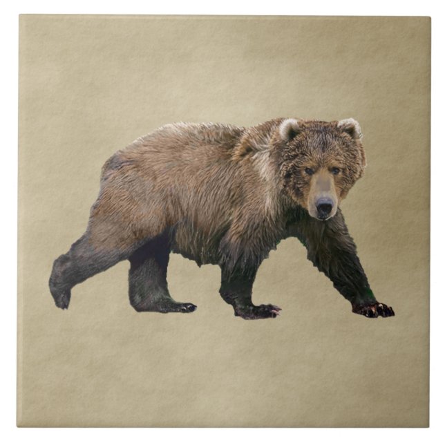 Kodiak Bear Kakelplatta (Framsidan)