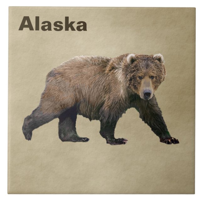 Kodiak Bear Kakelplatta (Framsidan)