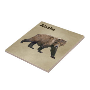 Kodiak Bear Kakelplatta