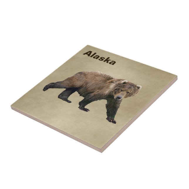 Kodiak Bear Kakelplatta (Sidan)