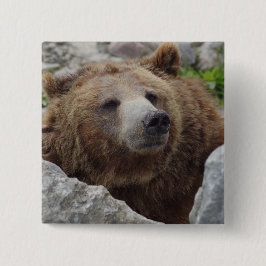 Kodiak Bear Knapp