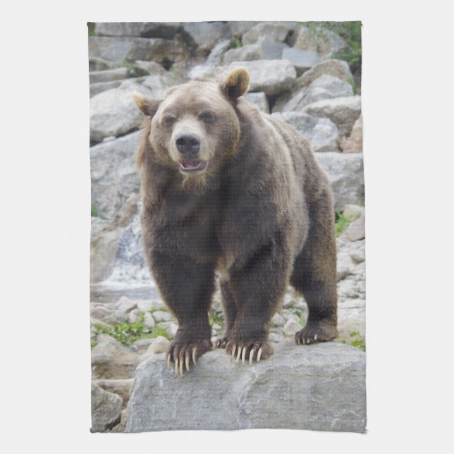 Kodiak Bear Kökshandduk (Vertikal)