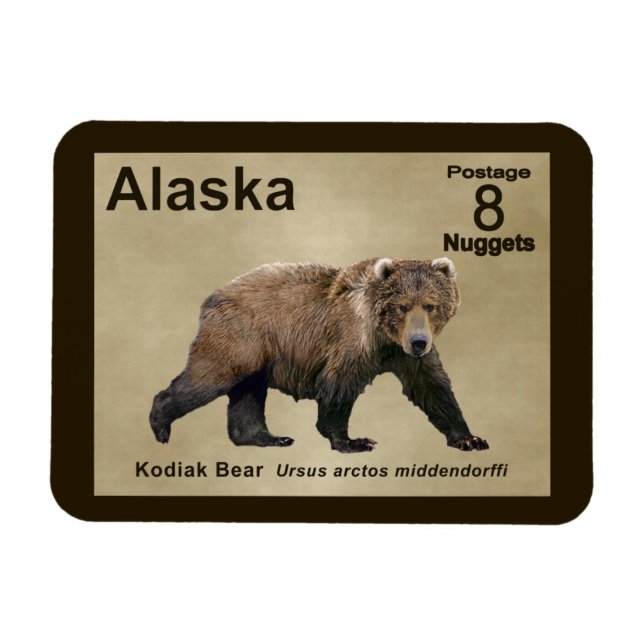 Kodiak Bear Magnet (Horisontell)