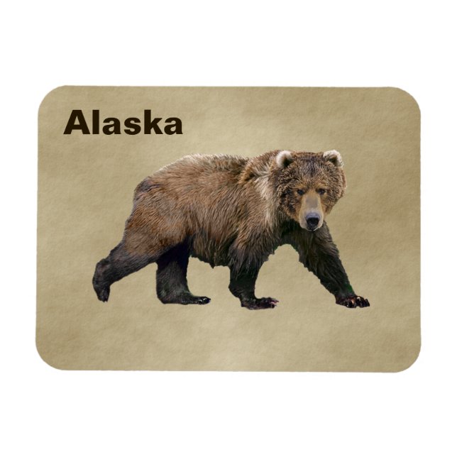 Kodiak Bear Magnet (Horisontell)