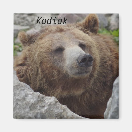 Kodiak Bear Magnet