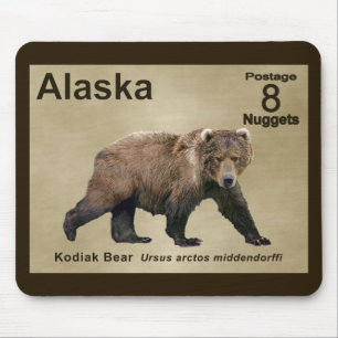 Kodiak Bear Musmatta