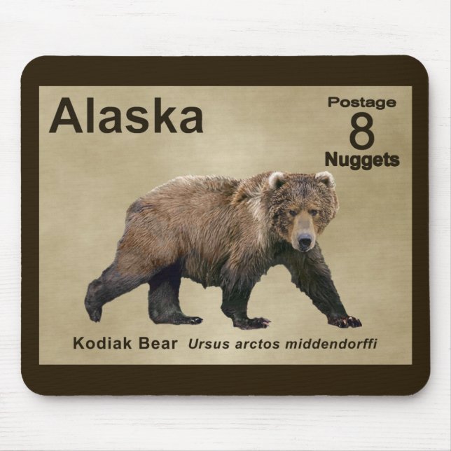 Kodiak Bear Musmatta (Framsidan)
