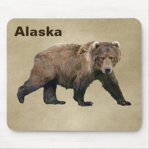 Kodiak Bear Musmatta