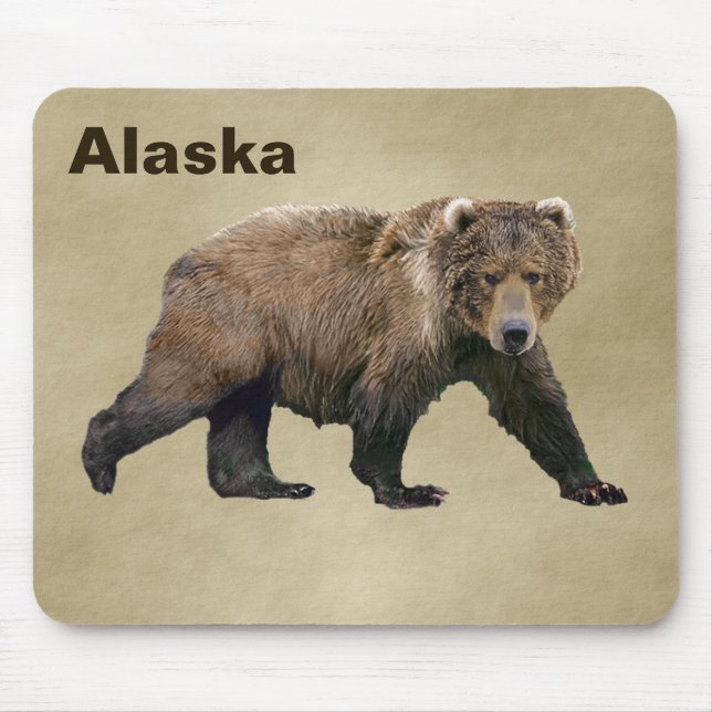 Kodiak Bear Musmatta (Framsidan)