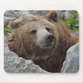 Kodiak Bear Musmatta