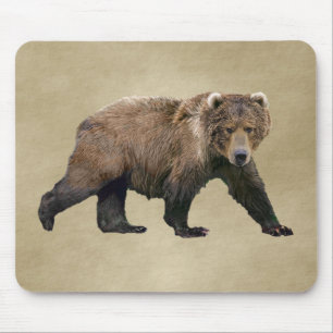 Kodiak Bear Musmatta